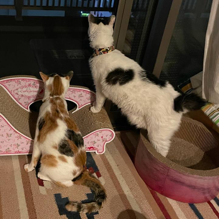 D75dc8a5 1996 4737 96a7 ad33fa166fa7 1632135125885