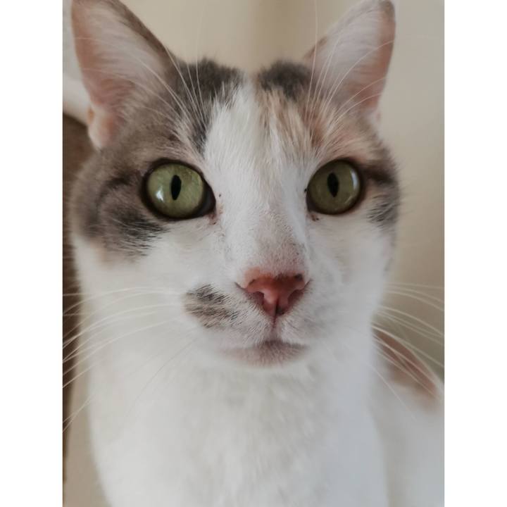 D75dec9e 9e07 48ee a547 8b3de50a50ae 1674189680670