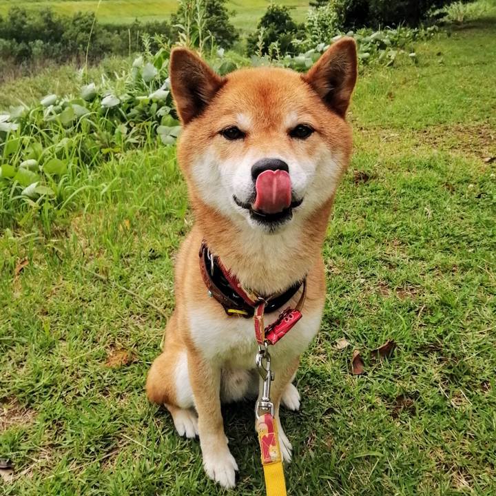 D75df2f9 dbf9 4b0f a171 a658f98d66c1 1593592928996