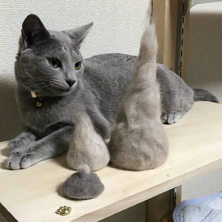 D75dffda b503 4980 9194 f17fa9a7ae28 1525791345366