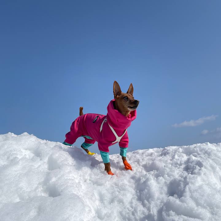 D75e0239 8ee5 4974 a34c d0d40aa86f95 1677992896901