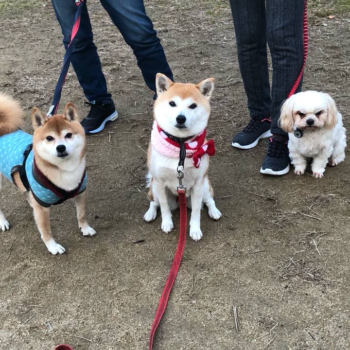 D75e4844 8431 4ce0 a5a3 4b23b7a55ef1 1579218999379