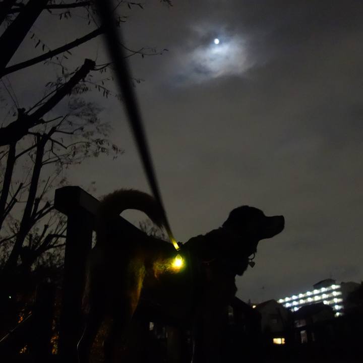 D75e4f59 858b 4ea6 ab3c 9c331dbdd71e 1512124678675