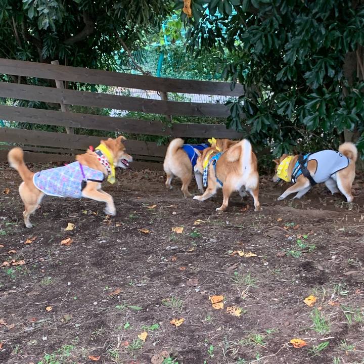 D75e5ba6 5da3 4fcd 86f4 ef5649e5d913 1569682119278