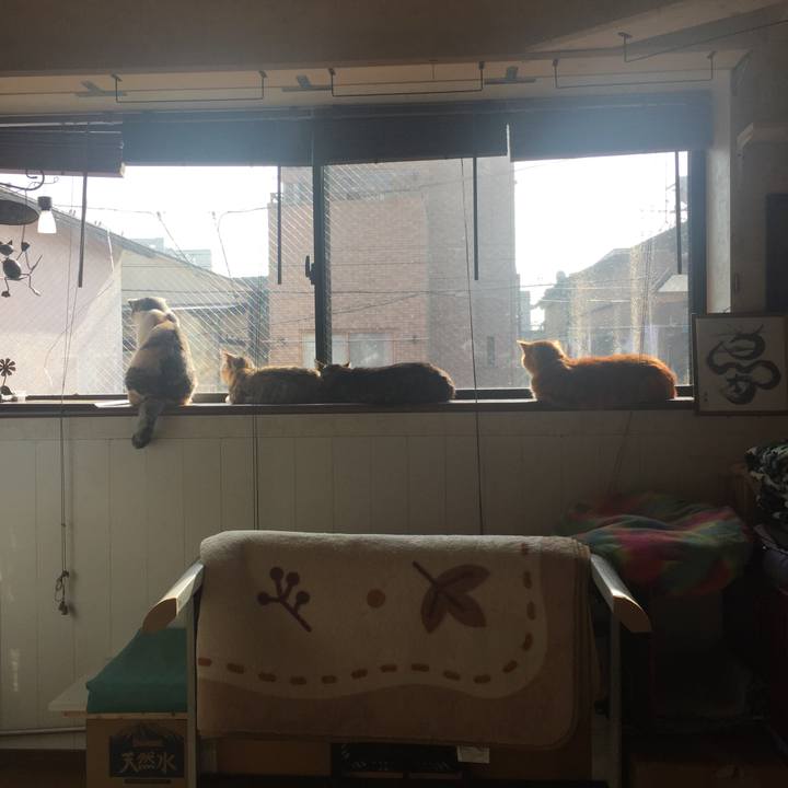 D75e68d5 ce28 42d3 9b5d d911c0d09d8a 1576033698164