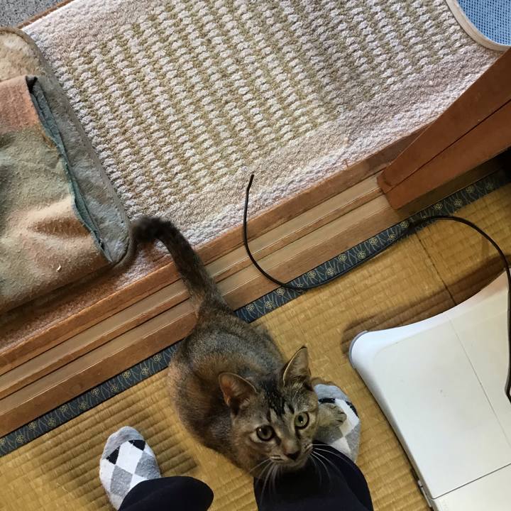 D75e81dc 1b54 4295 bcfe 3b1996358c0d 1573711268012