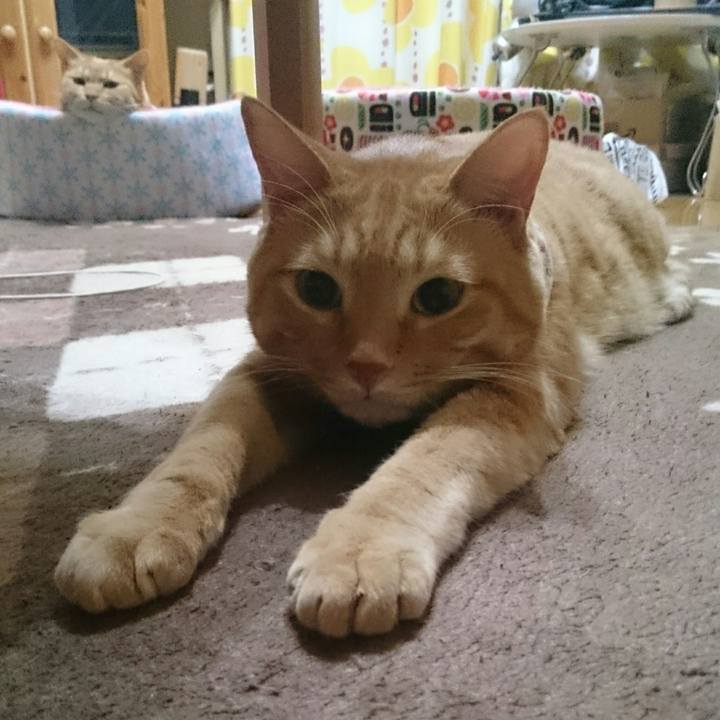 D75e8fe7 97e2 4473 b862 b9e8786d6e10 1510110517826