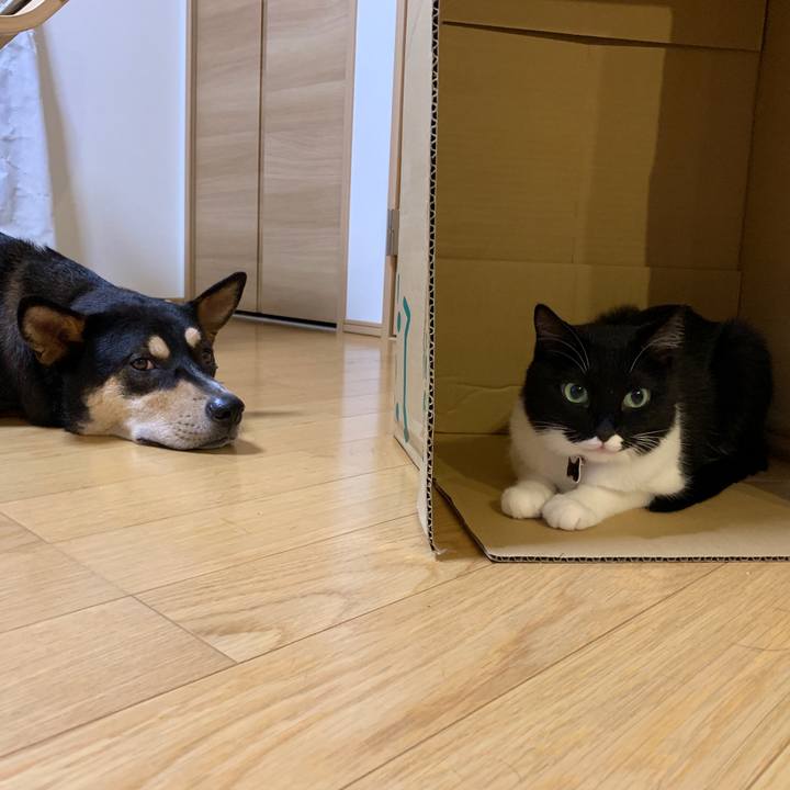 D75e9612 e78d 41b7 8d69 eaaad1bf14c4 1568212357166