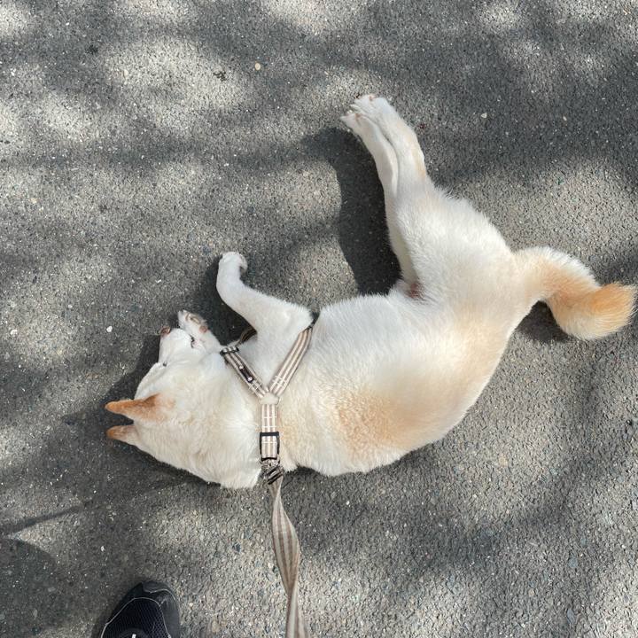 D75e9b11 c8ce 4be2 a974 0563f147fcf9 1646478278527