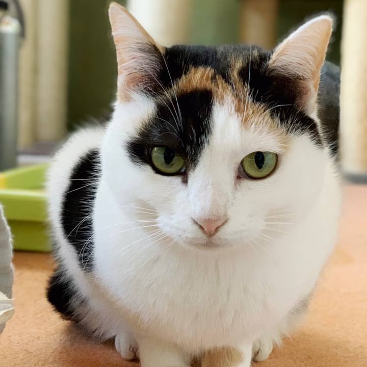 D75e9e2c 8d8a 4d8c 895b a4693fd586b2 1549767392343