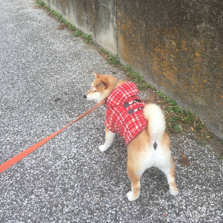 D75eaa09 ec55 41a7 a6ae d2b8160359dc 1544663034304