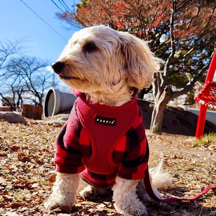 D75ecf6c dff5 4a20 815c f4badd6b12d4 1765773104260