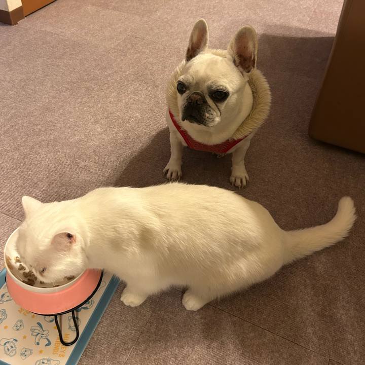 D75f0df6 43d0 4967 bf97 42d84f825f29 1734600178491