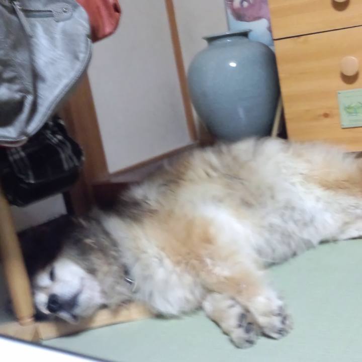 D75f3504 11a7 470f bc52 ed50fecaa7e1 1587170375199