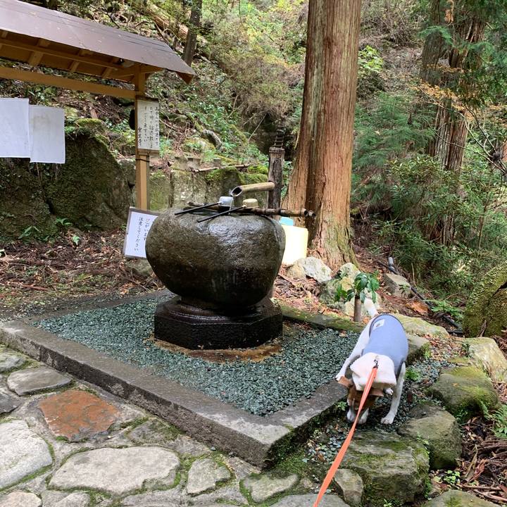 D75f6070 b2e1 4522 930f 19a3a92602de 1575298962228