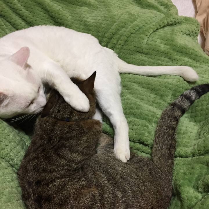 D75f8d05 35b7 46c4 9d1d 45ce1250c1f8 1510757402331