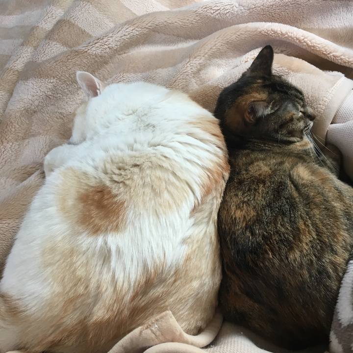 D75fbf7e b444 4573 9f62 69741c4de82f 1521854934874