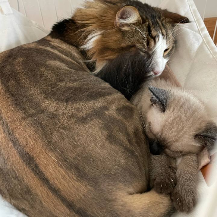 D75fc74a 8ee2 44d3 b63c 73ac1f5ea3bb 1687649217014