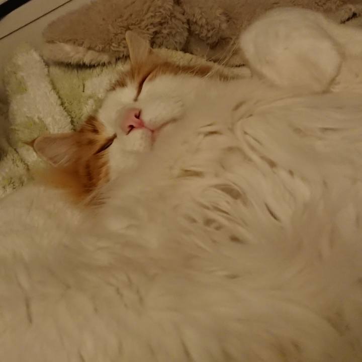 D76000d8 7090 4a5e 83e7 6f0388ae1437 1587515274074