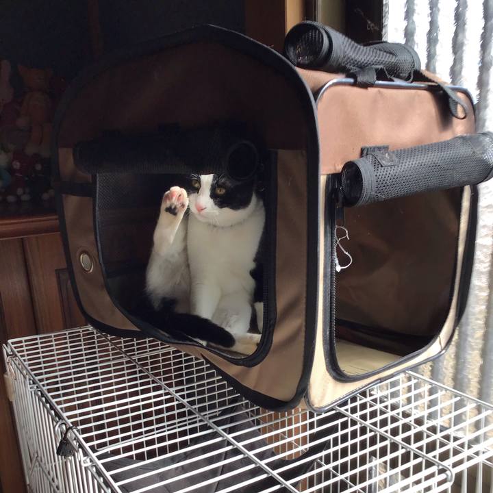 D7603a75 2ad1 4acb afe1 ef327dc5809c 1644645311390