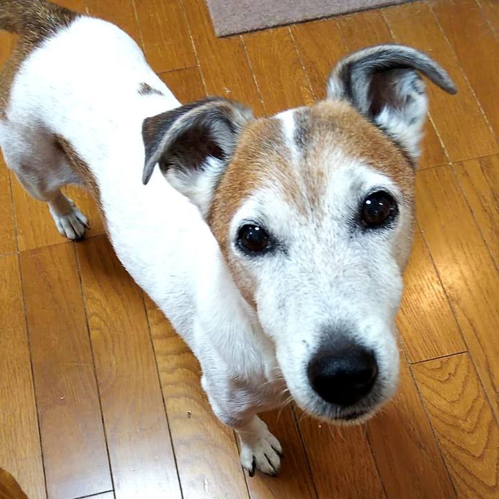 D7603b8b 0707 466c a01b 61f2ba6a91a6 1560551663210