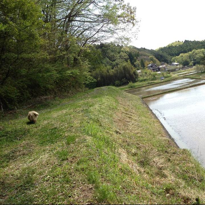 D760ee83 cfa1 4798 ba1f cdb2e5f4cba5 1557530493680