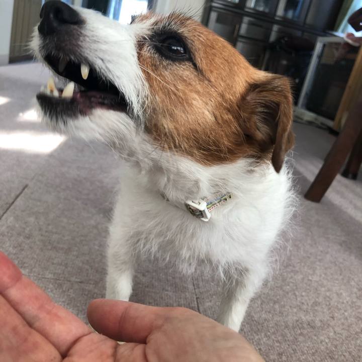 D76107cb 8238 408b bb85 5f8c4aa2df41 1586426401589