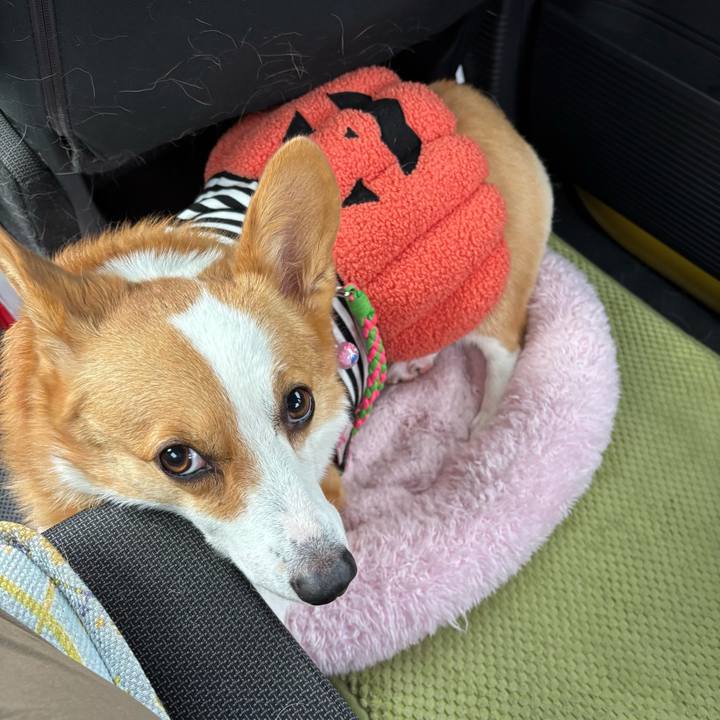 D7612181 3121 466a 9b63 a221db48013e 1761446491128