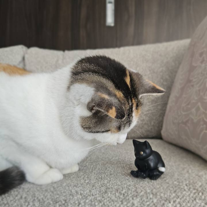 D7613da8 57f5 465f a2bd 7b7a0f0dd1a9 1772257755693