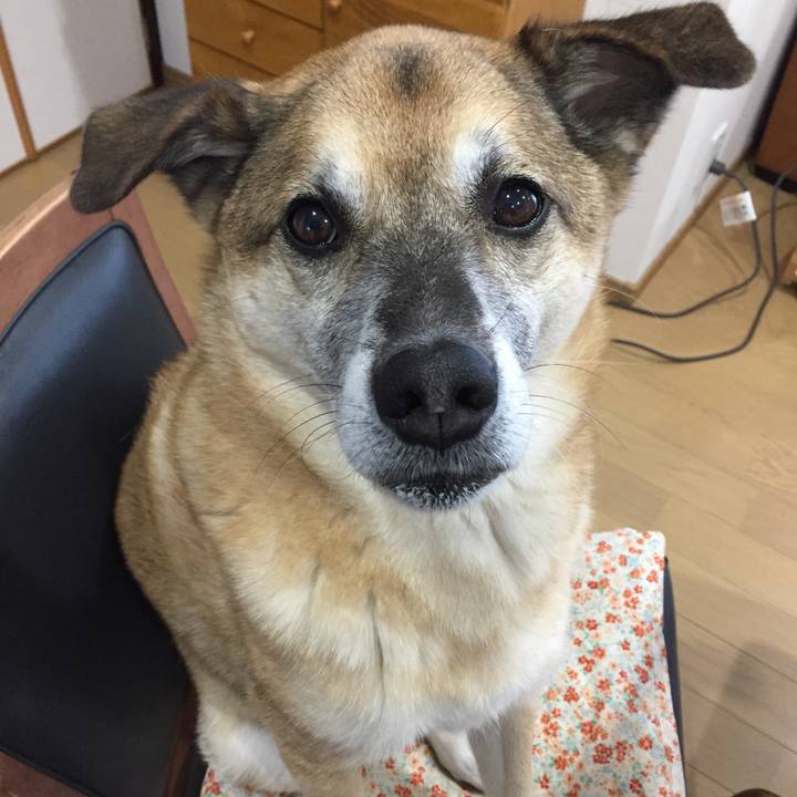 D7616610 176c 41c5 8dc7 1091f8788632 1575935872447