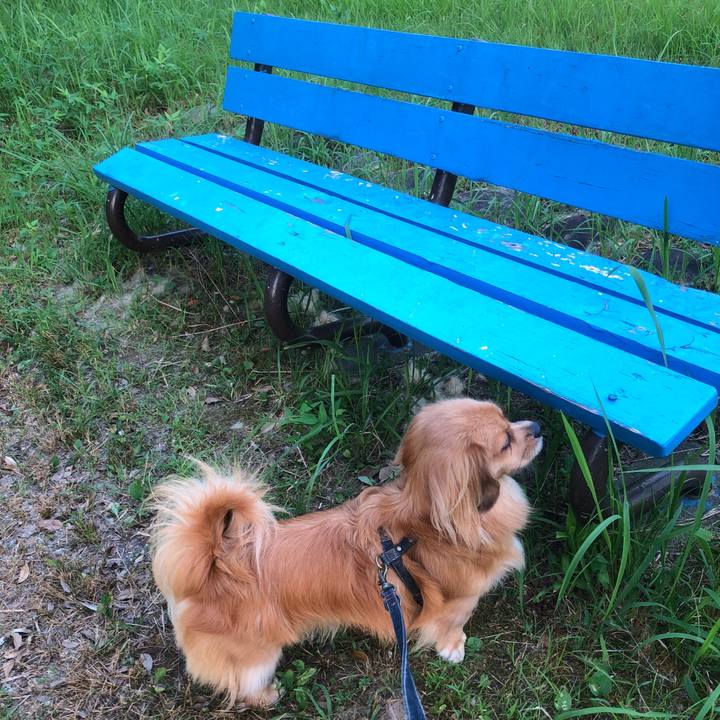 D761dcab 7ba9 4819 ab2c 23bfaa2652f4 1532467230907