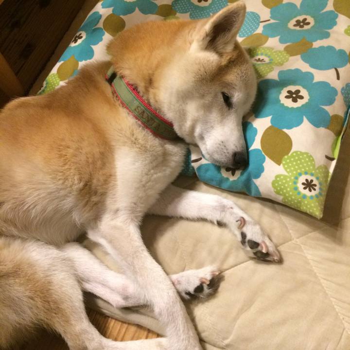 D7621e7a 9e9e 4993 9001 bdf91a7bd67f 1570368435410