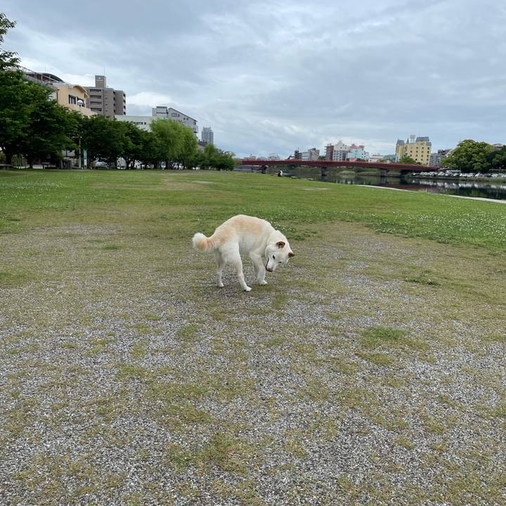 D762248f 0eec 4ea8 a5e4 a4bfc9b71113 1652279476096