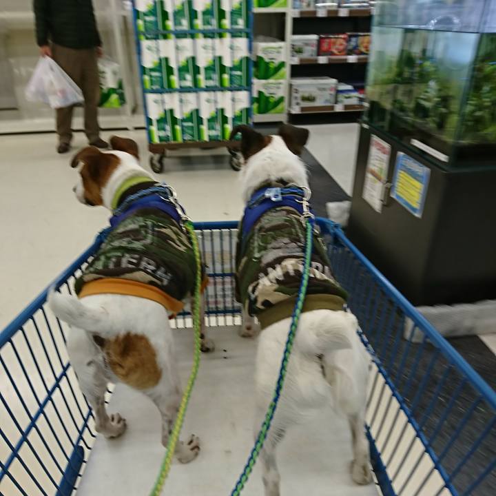 D7622d7e 5992 4960 80c2 92d3d55c1338 1583315947822