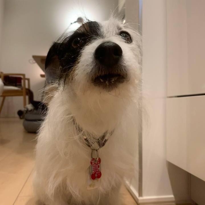 D7624521 ec87 47b6 8ef1 ee5286724ce5 1713004414344