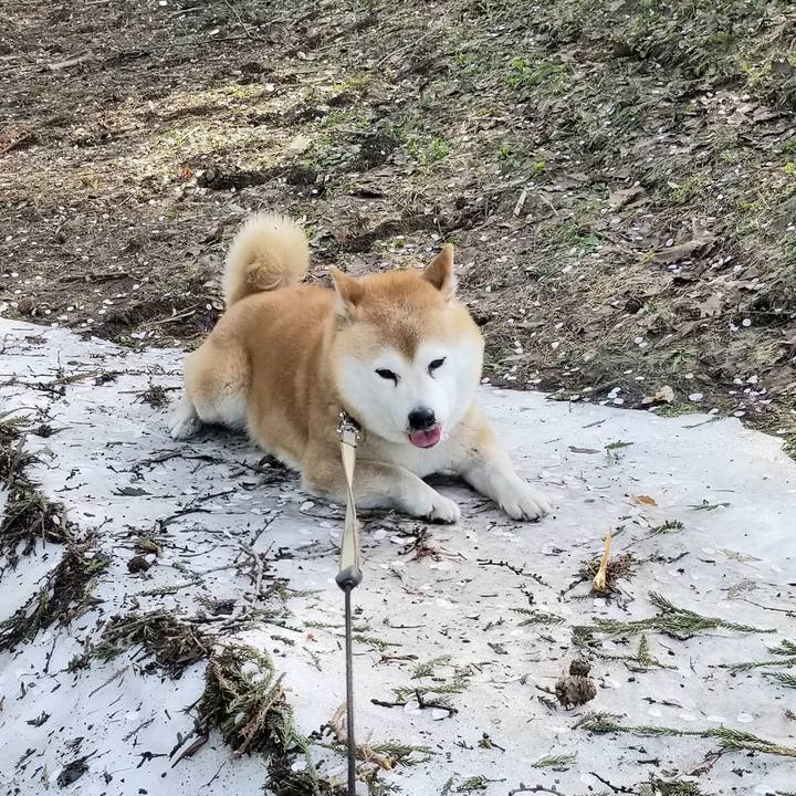 D762474d d385 41f2 9d4d d369baf6590f 1650870400901