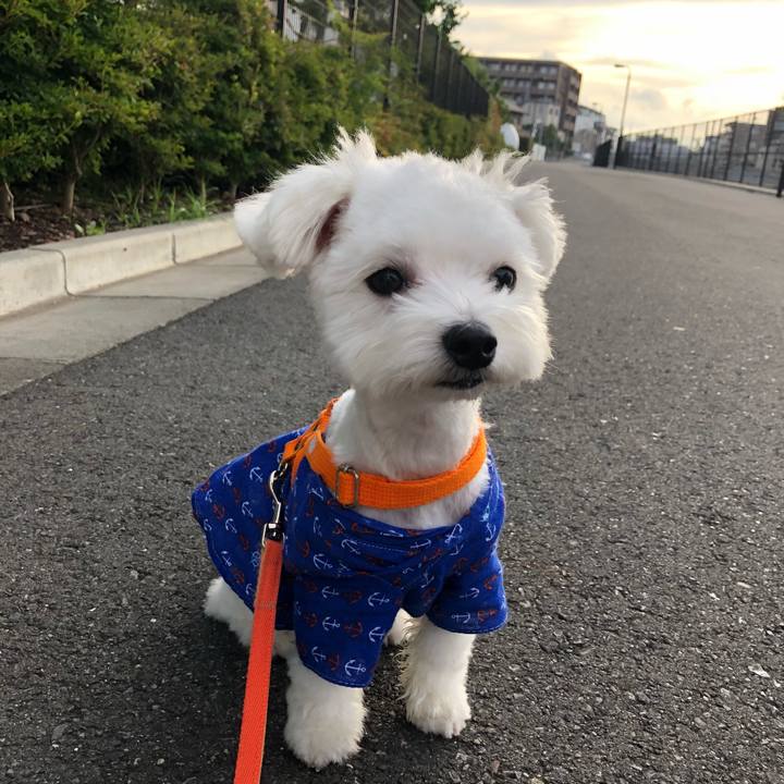 D7624863 c8e5 4179 9a0c 86155894efa2 1531013472282