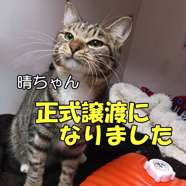 D7624956 ebc0 44f2 bb1f 6e35b0523e14 1581986728883