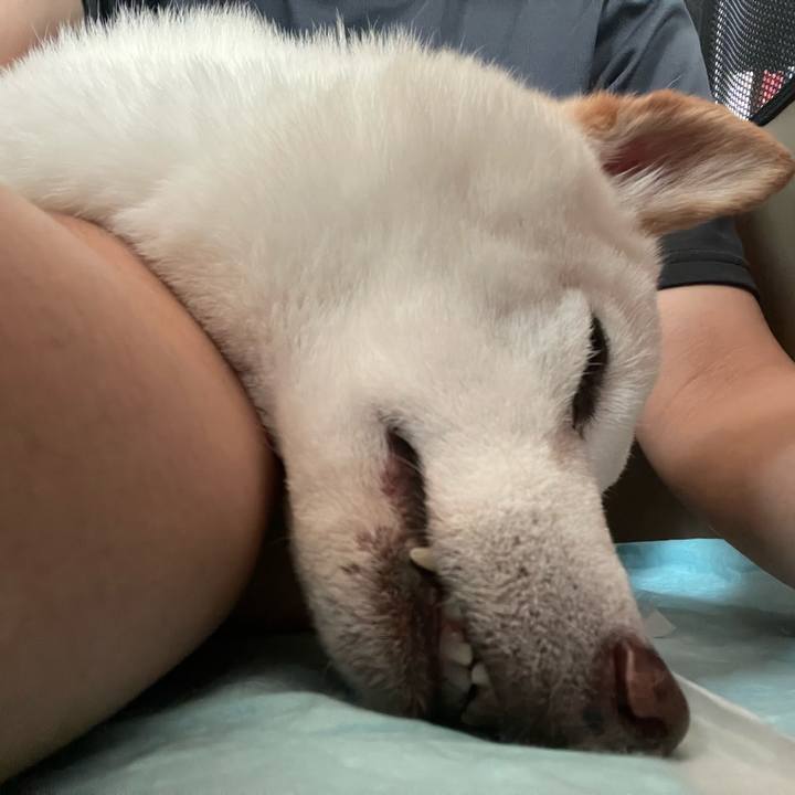 D7625242 a634 4969 82bd 0f8f7f60f585 1658618024862