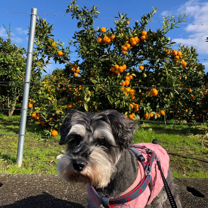 D7627c61 a822 441c 90bd bc3e9c705587 1638066195355