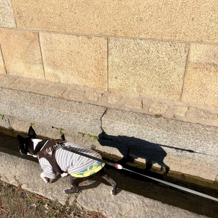 D76299c0 a2fc 4ef1 8c3f 78bf0bc265b0 1547363721359