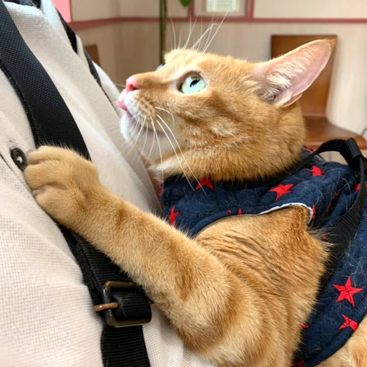 D762ec94 54e8 4f26 a4c1 f8e05d6093a6 1569926095815