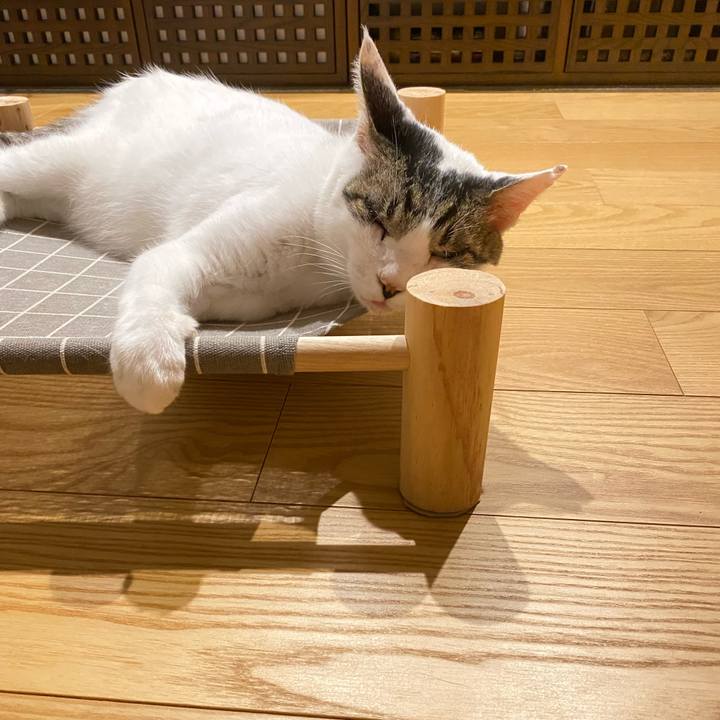 D7631170 39cd 4d10 8440 3e67198d54dd 1659065718455