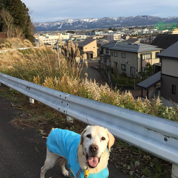 D76311bb aaff 44f3 9f59 6a927dd12901 1548416592384