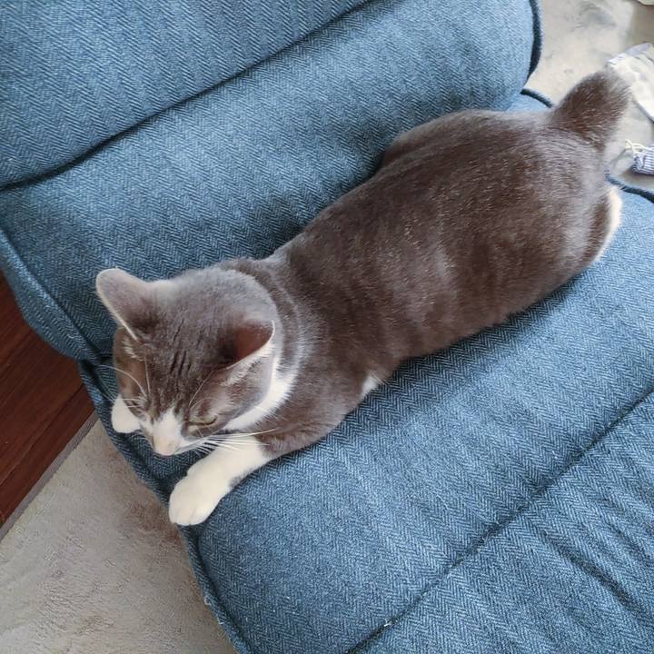 D763192f 0c9b 468b a9df 2ea10368d2cd 1593385089939