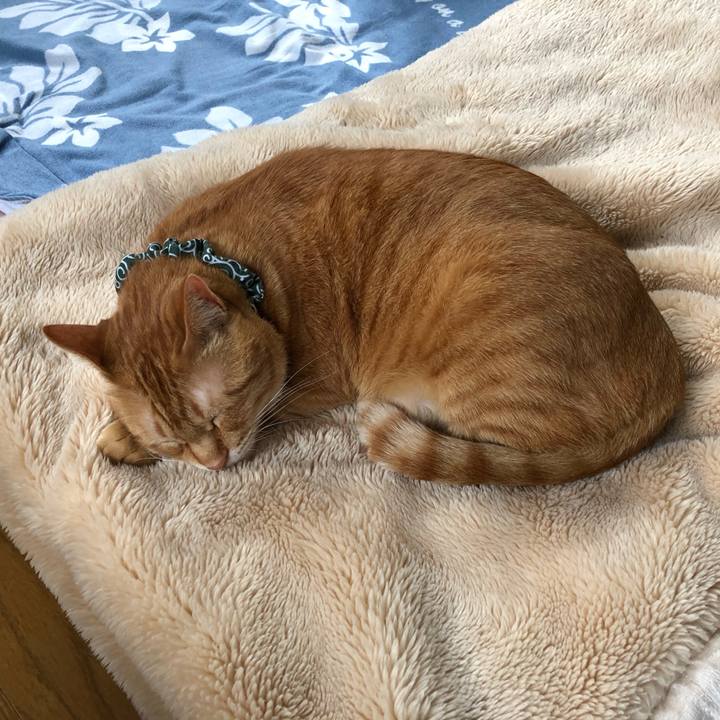 D76322a7 c643 4b2a 8d5b 006c1582e722 1557437497338