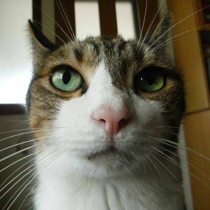 D7635157 c2b7 407b 8714 bc9c720a6cd2 1508468164118