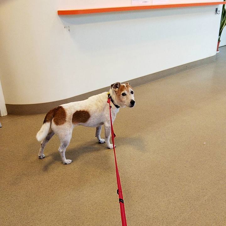 D7635f26 7f1f 40f4 b4f3 ef65d3b6abf4 1595634633752