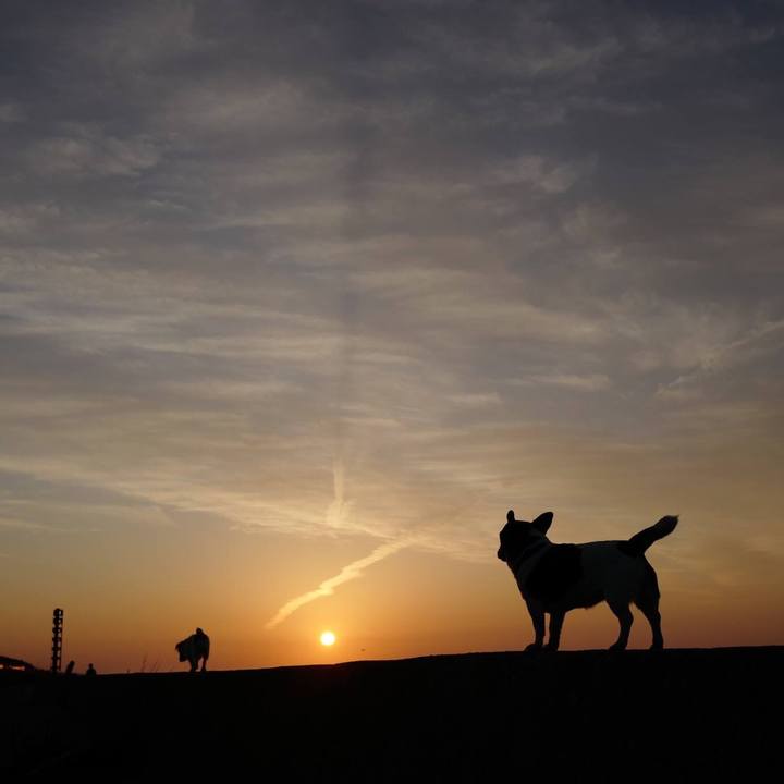 D7637cdf d2cd 4577 a7fa 7ef21f12dc8e 1510372870637