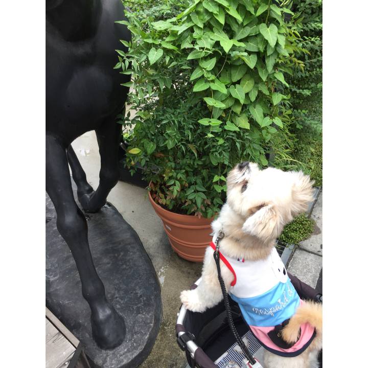 D76390c2 823c 4492 90e6 738f9128581f 1537134684364